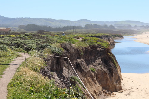 Coastal trail at Half Moon Bay