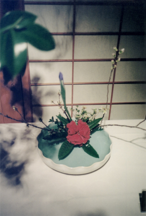 That ikebana time