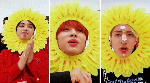 tbzd: A boquet of smiling sunflowers!