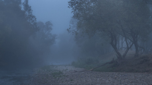 Morgens im Nebel by Felix WeschInstagram | Facebook | 500px | Twitter | Website