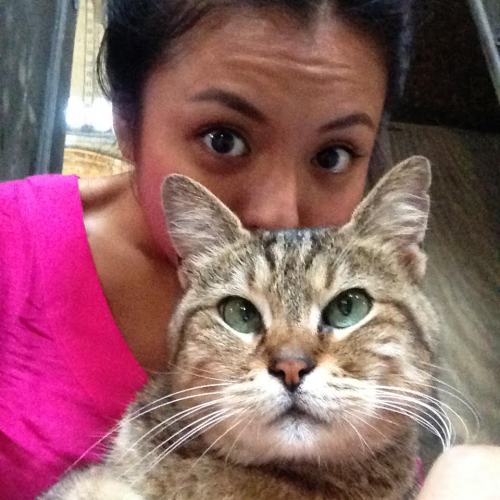GUEST SUBMISSION We are like selfie besties !! #BFF #CanyoucometoSingapore #Imissyou #MeowLove 