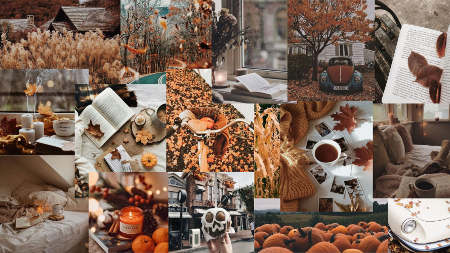 10 Autumn Collage Wallpaper Ideas for PC  Laptop  And All At Once 1  Fab  Mood  Wedding Colours Wedding Themes Wedding colour palettes