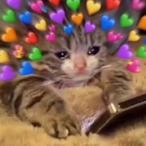 catpop12343:Reblog to give a trans girl a really cool sword