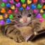 catpop12343:Reblog to give a trans girl a really cool sword