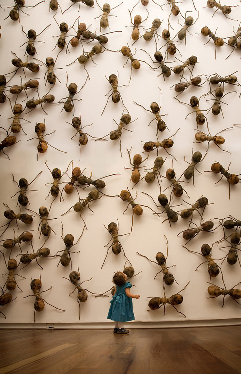 Porn wetheurban:  ART: Invasive Ant Art Installations photos
