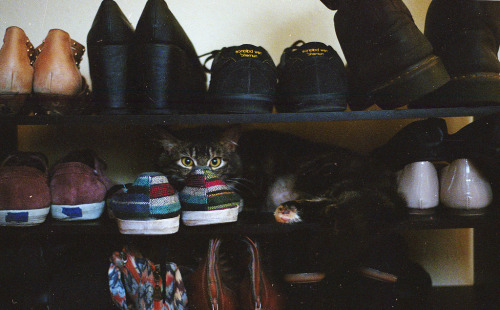 yskz: by Tamara Lichtenstein flic.kr/p/nphebn