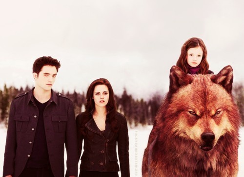 cray4kstew