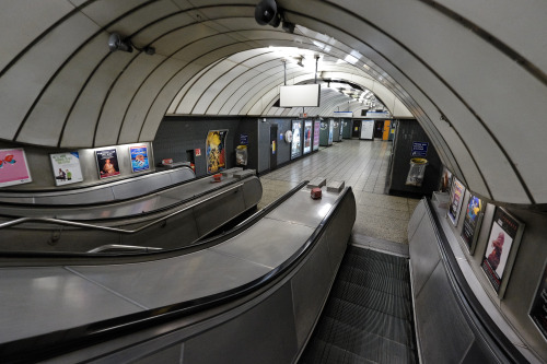 scavengedluxury:  Victoria Line. London, September 2015. 