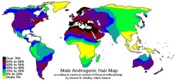 VERY INTERESTING IF YOU LOVE HAIRY MEN. FORTUNATELY I’M LIVING NEAR THE MEDITERRANIAN SEA.!!!