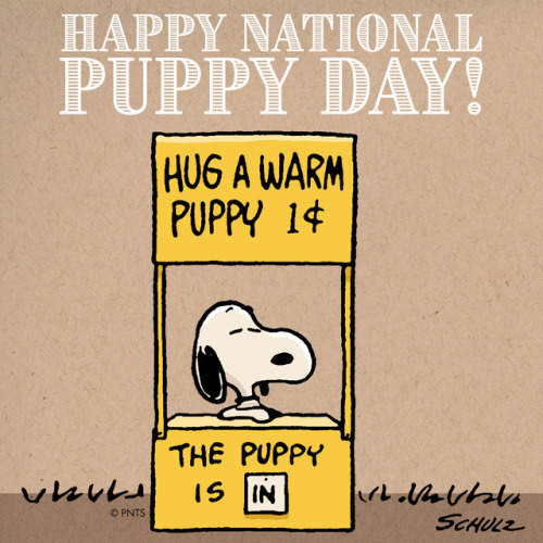 Happy National Puppy Day!