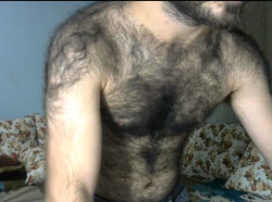 hirsute-honeys: beefyhairylover:   iraqihairyman89:  Woww  Extremely hairy chest    Those shoulders 