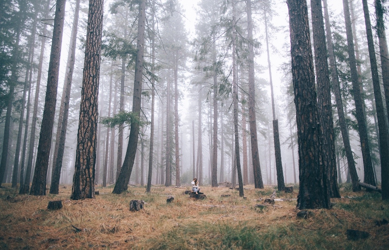 kodiakstag:  While no one else is around, are you really ever alone? 