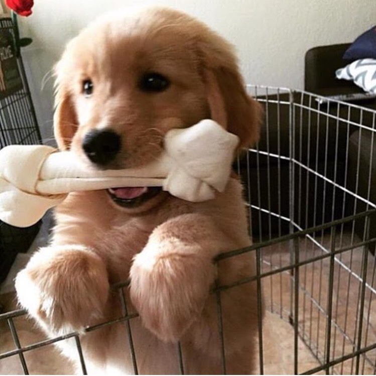 Awww❤😍