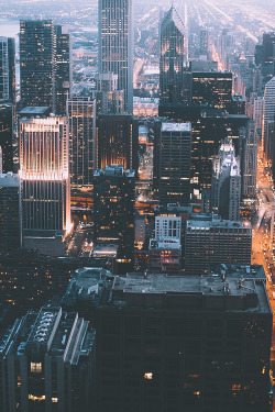 modernambition:   Veins of the City | WF 