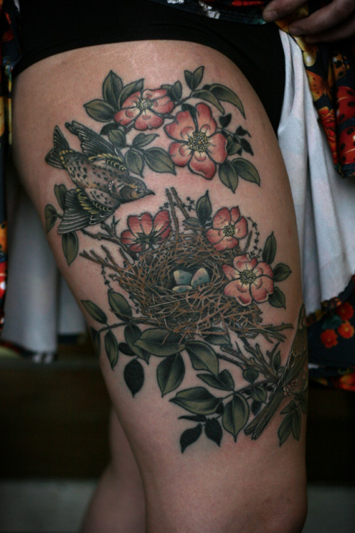 Rose finch, pine siskin, and nest with wild roses for Hailey. Thank you so much!