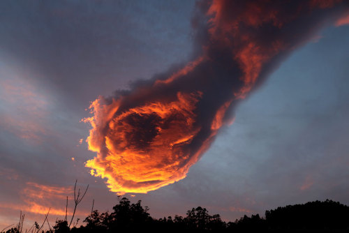 salahmah:  On Monday, the Portuguese were stunned by a terrifying cloud over the island of Madeira. The bright orange formation looked as if it was a burning clenched fist