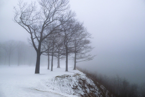 XXX just-breezy:  Snow Fog by ~EvidencE~  photo