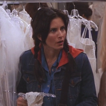 towallthefriendsepisodes:  Crazy Monica S01-S10 