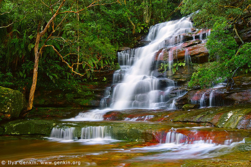 Upper Somersby Falls, Central Coast, NSW, Australia by ILYA GENKIN / GENKIN.ORG on Flickr.