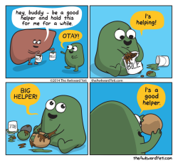 stethoscopingmaybe:  Peace out gallbladder, let’s be real, it’s not me it you (comics c/o @larstheyeti )
