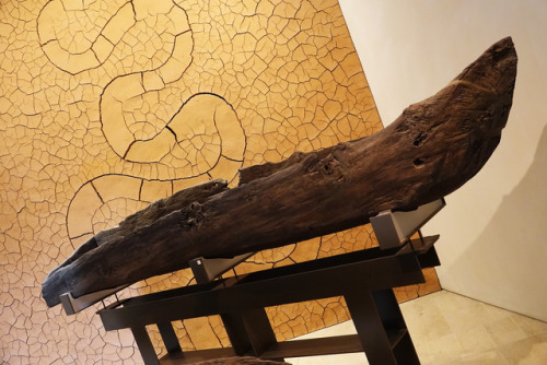 First Century BCE Wooden Logboat and a Eleventh Century CE Wooden Logboat, The National Museum of Sc