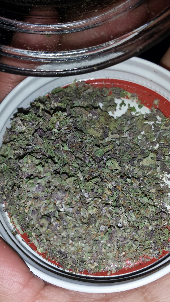 goldenn-vibes:  💚💜💚💜 