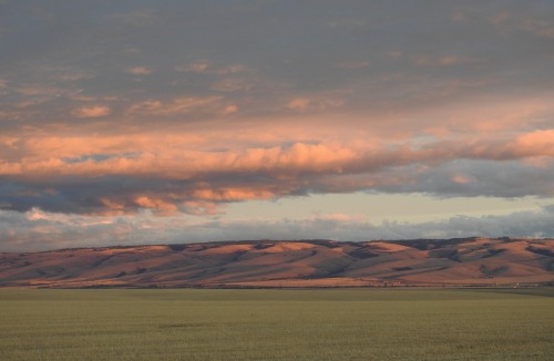 Blue Mountains - Umatilla County