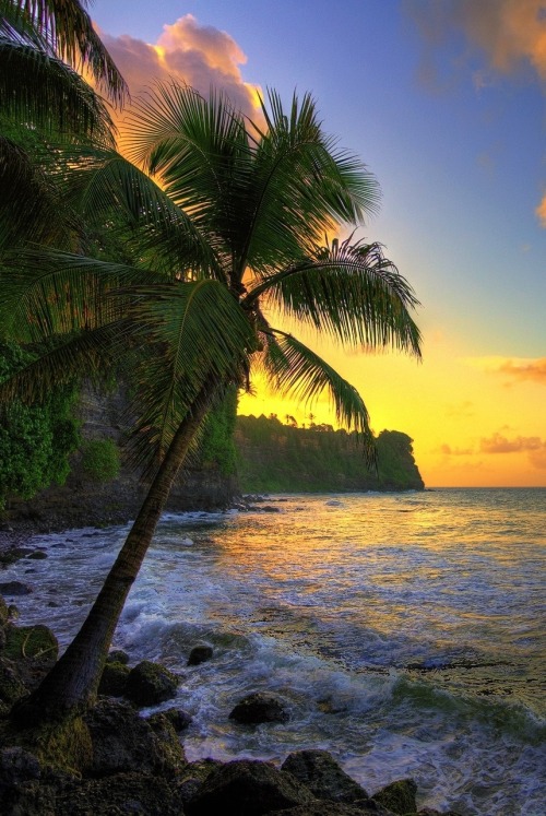 0ce4n-g0d:  Basse Pointe by grzegomi