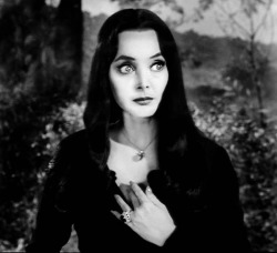 reverendxandria:  ladysurreal:  Morticia