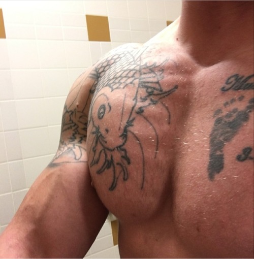 onefitswimmer: Follow me at Onefitsqimmer@tumblr.com