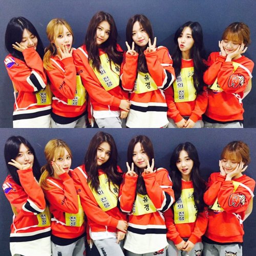 fyeah-aoa:  AOA Fanclub Official Twitter 160119 @AOA_FANCLUB: Thank you ELVIS for staying at the rec