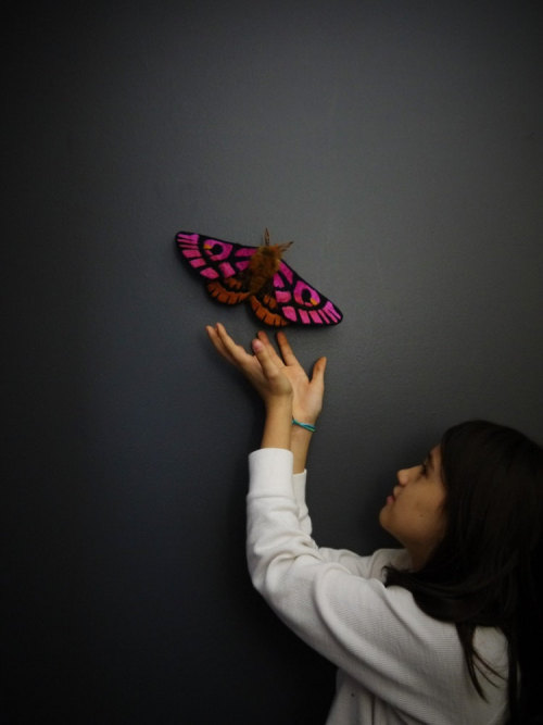 wnq-writers: Textile Moth and Butterfly Sculptures by Yumi Okita North Carolina-based artist Yumi Ok