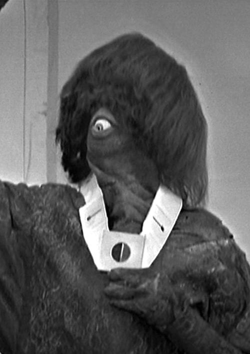 cleowho: That - surely - is a Monoid! #TimeOfTheDoctor