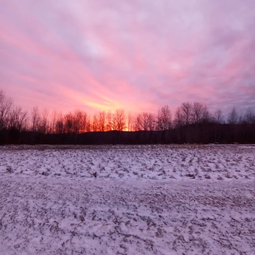 Sunrise When the sky isn&rsquo;t just blue . . . . . . . . #landscape #Massachusetts #sunrise  (at Massachusetts) https://www.instagram.com/p/CKhf2cWFRLP/?igshid=5kjtv2azr163