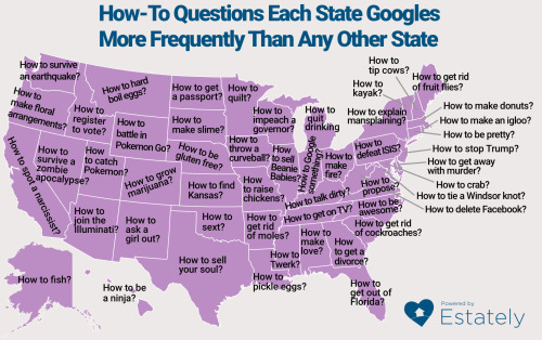 toomanyfandomsforonetobemyurl: holtzyman: mapsontheweb: How-to questions each US state Googles more 