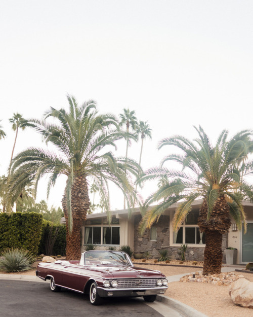 joelzimmer: Old Las Palmas Palm Springs, California living in a dream