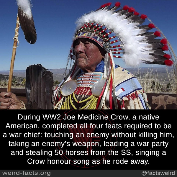 friendly-neighborhood-patriarch:  mindblowingfactz:  During WW2 Joe Medicine Crow,