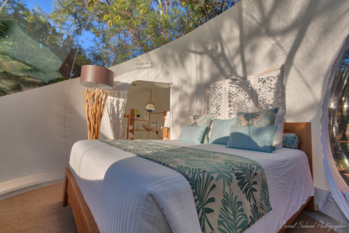 veesko:Bubble Lodge: A Chic Stargazing Retreat on Mauritius’ Largest Tree PlantationScattered amid a