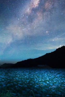 sayazurii: Martin Marthadinata - Milky Way Source: flickr.com 