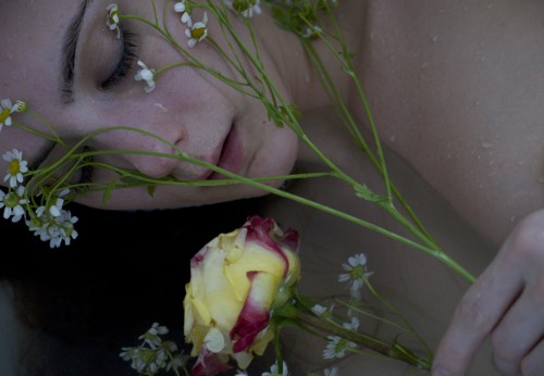 brookelynne:  roses & camomile | self-portraits  •✧{ more here }✧• 