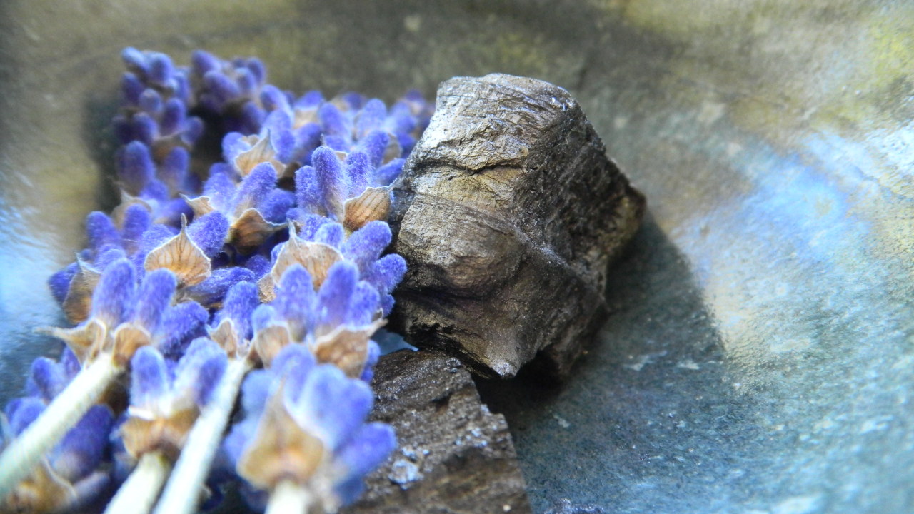 cloverfaerie:  I just can’t get over how lovely this lavender and charcoal look