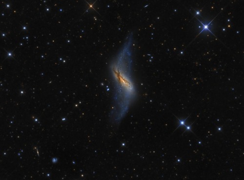 megacosms: Polar Ring Galaxy NGC 660 Image Credit &amp; Copyright: Stephen Leshin