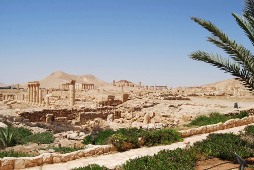 ahencyclopedia: PLACES IN THE ANCIENT WORLD: Palmyra (Syria)  PALMYRA (also known as Tadmor) is