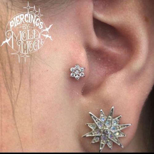 Molly Moon Got to install this super duper pretty rose gold cz @askew_jewelry piece on a healed trag