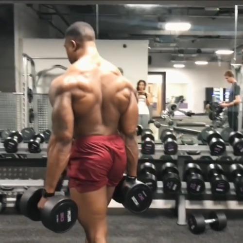 themaleasshall:  Simeon Panda