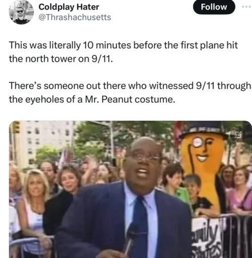 A Guy In A Mr Peanut Costume Watched This.