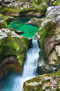woodendreams:  (by Andreas Resch) 