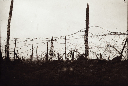 These photos were taken from 1914-1918 by Lt. Walter Koessler during his time as a German officer, d