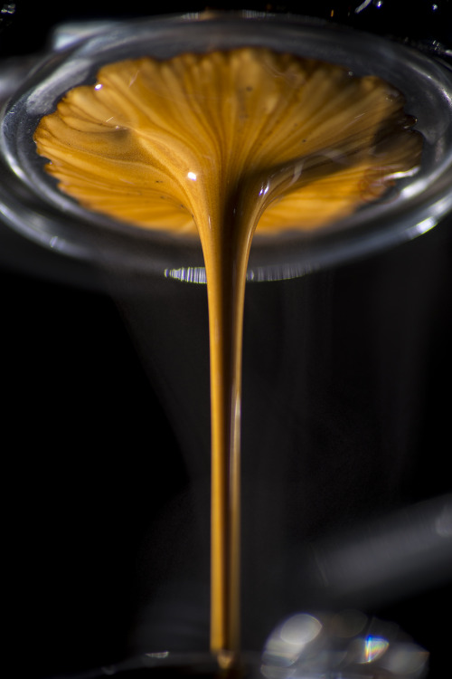 expresso-shots