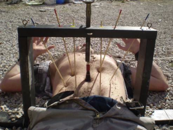 Business Of Punishment
